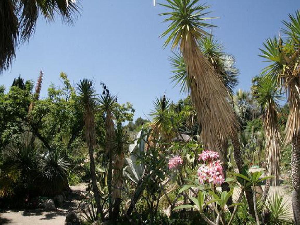 183 D21 SANARY SUR MER 1_000023.jpg